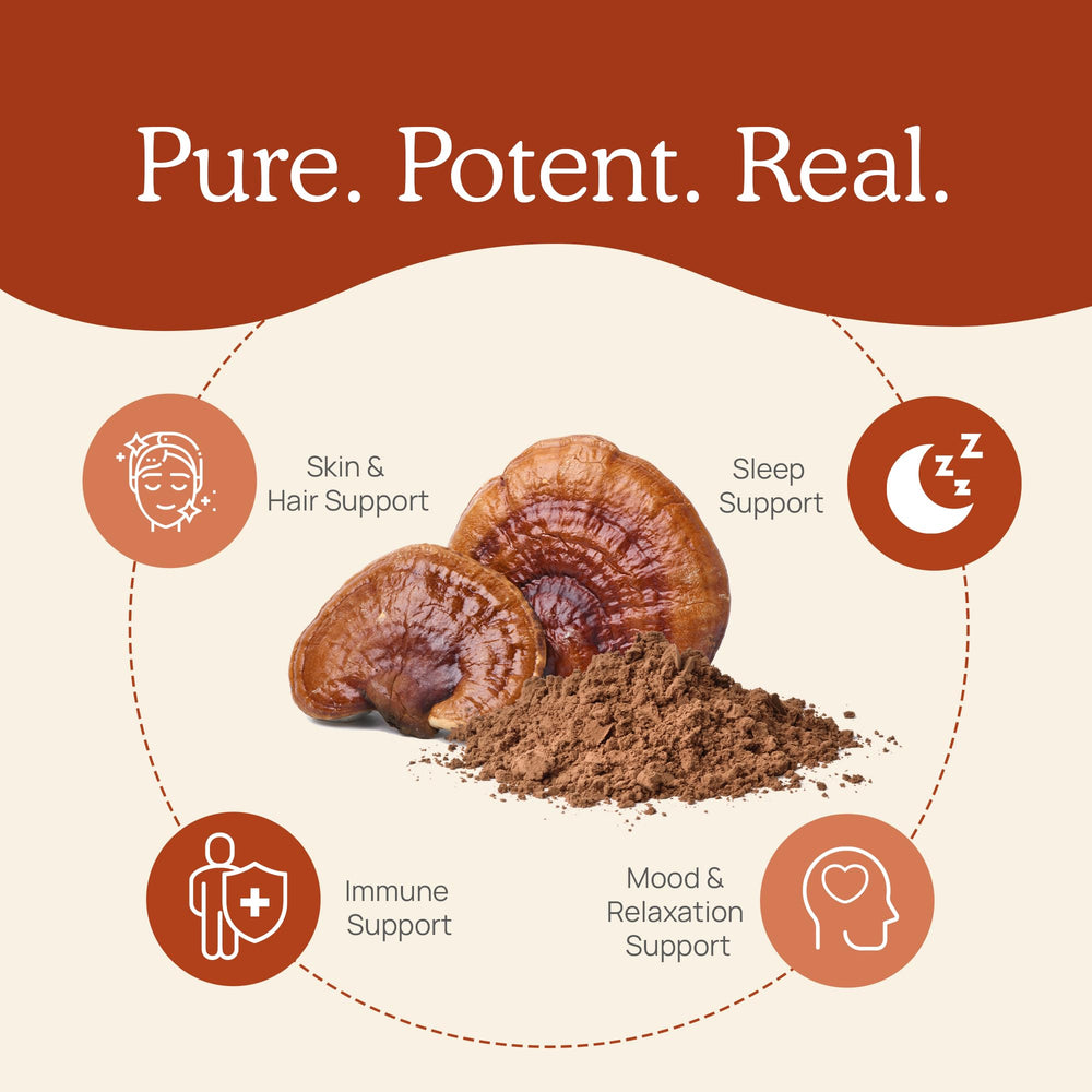 Real Mushrooms Reishi powder in a cup of tea for a calm moment.