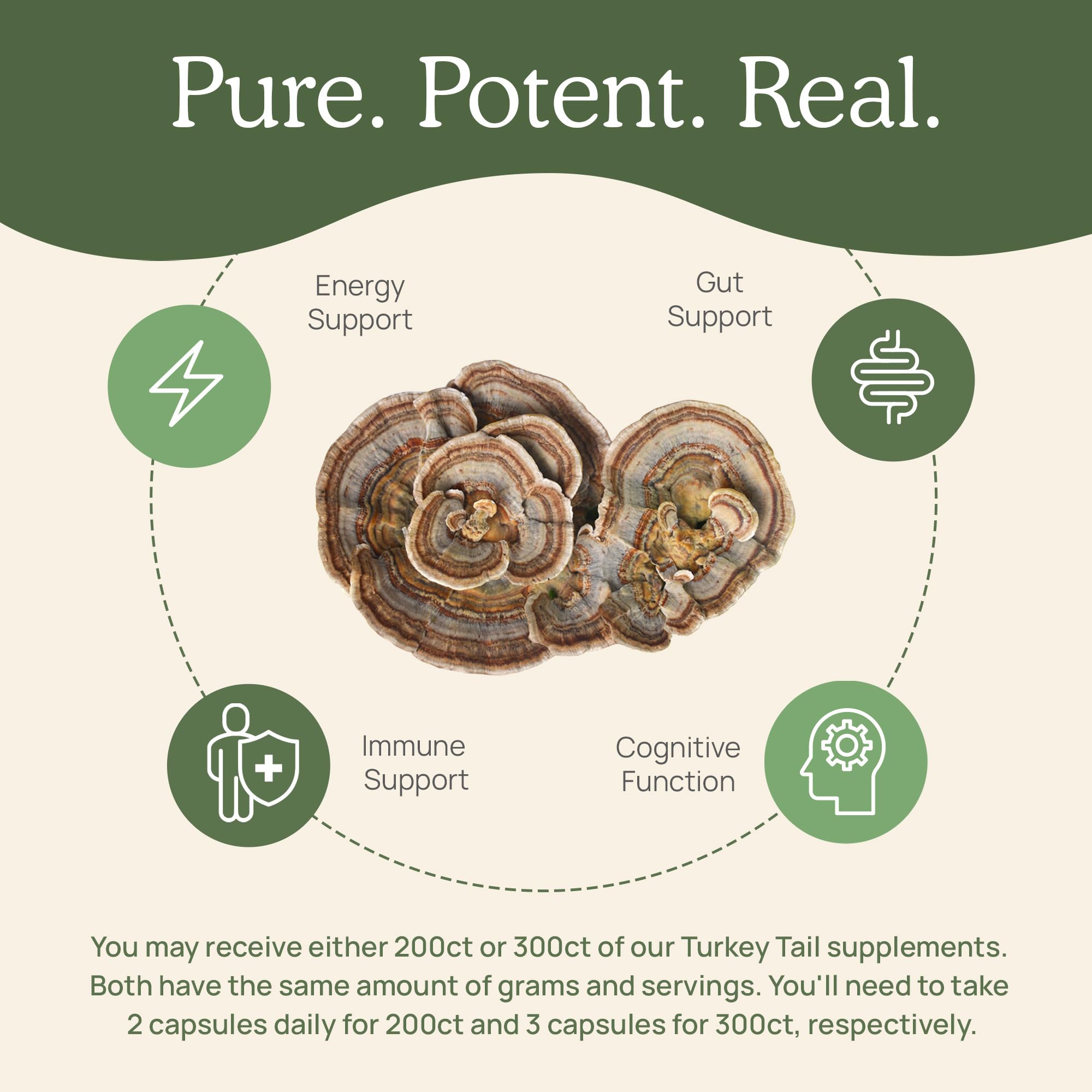 Real Mushrooms Turkey Tail capsules pouring, easy to add to meals
