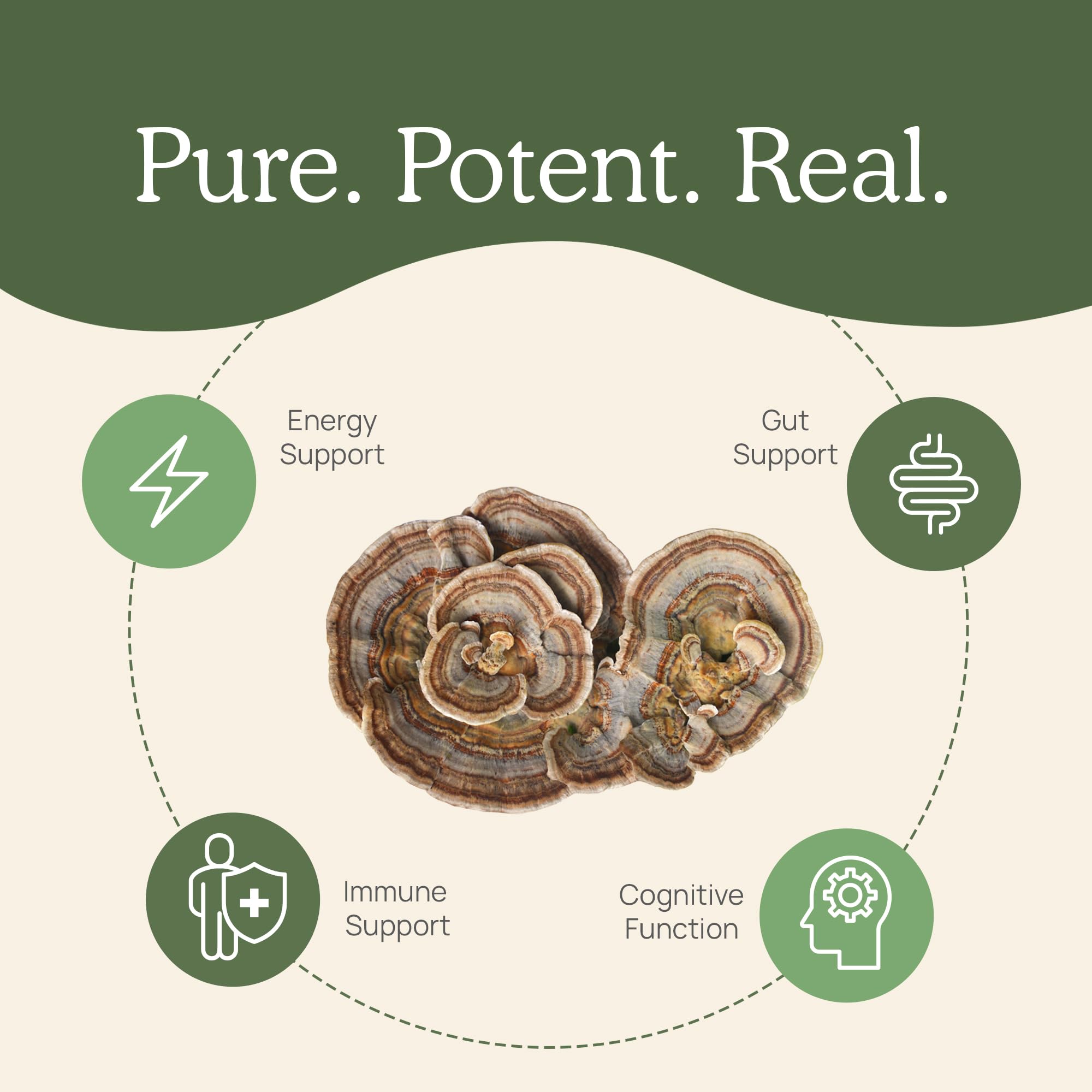 Real Mushrooms turkey tail extract packaging emphasizes no fillers or additives.