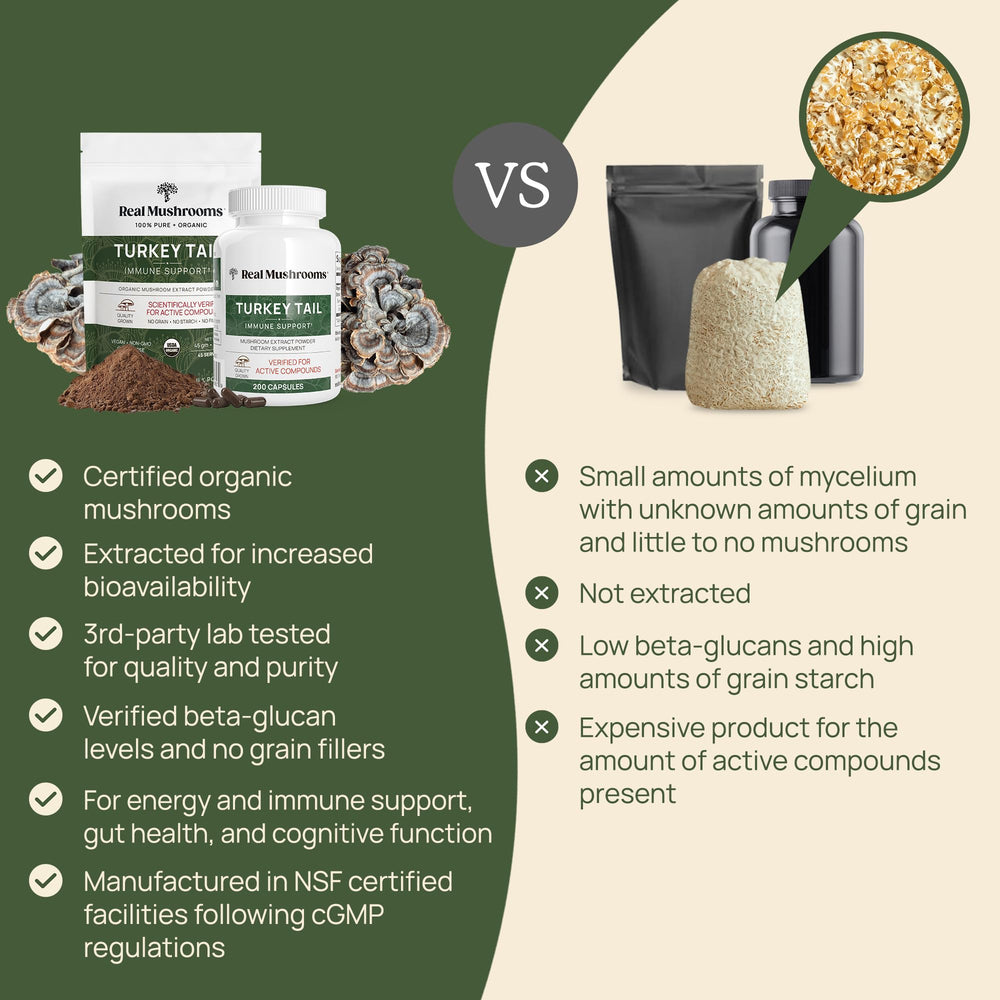 Real Mushrooms Turkey Tail powder in smoothie adds easy nutrition.