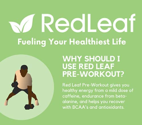 Red Leaf pre-workout container on gym bench ready for training