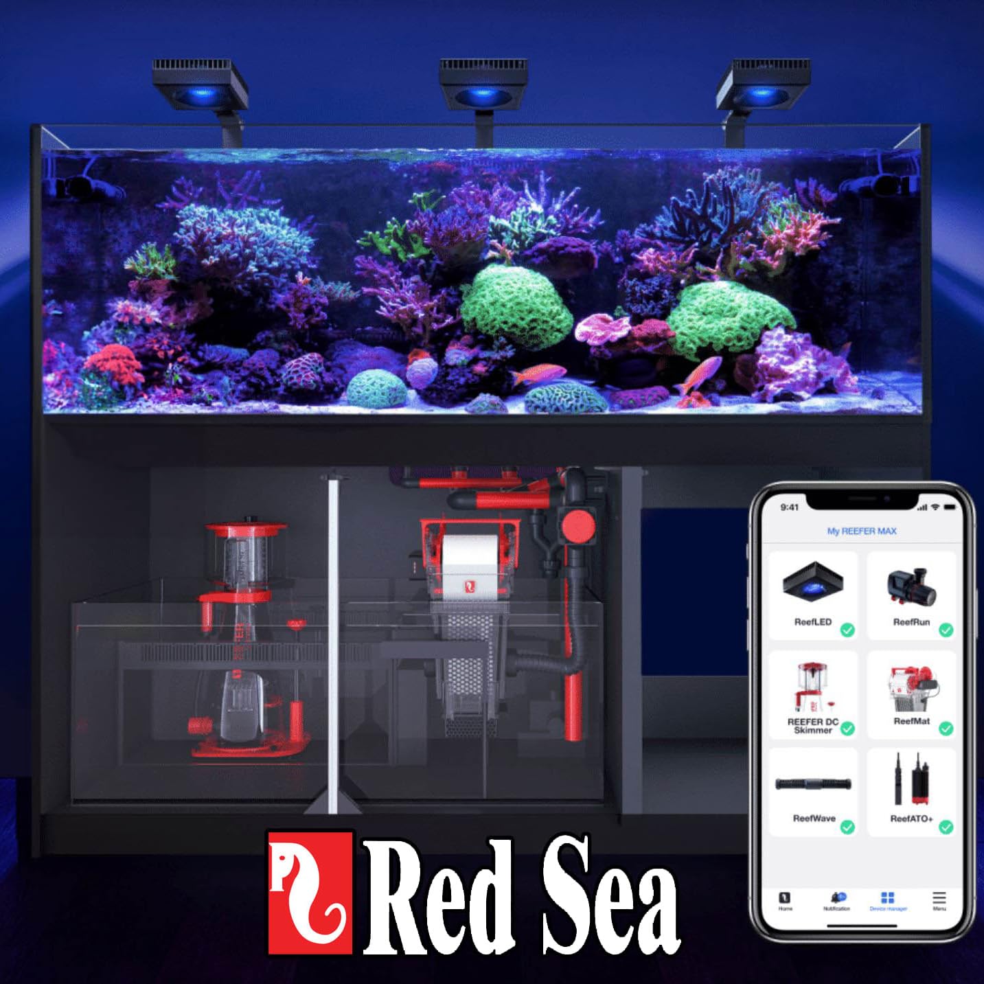 Dosing Red Sea Foundation A into a coral aquarium during routine maintenance.