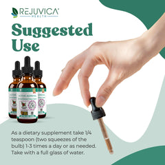 Rejuvica Health Active Adrenal label close-up, premium herbal blend identity.