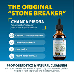 Rejuvica Health Cleanse Drops amber liquid highlighting alcohol-free formula for fast absorption.