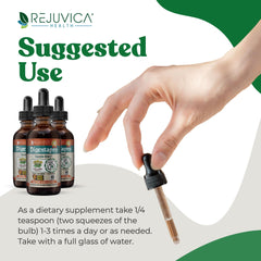 Rejuvica DigestaPro label close-up highlighting natural, herbal digestion support.