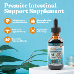 Rejuvica Health IntestiClear dropper bottle in action for convenient dosing.
