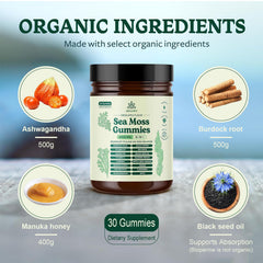 RESAWN Sea Moss Gummies ingredients panel shows natural botanicals and vitamins for balanced wellness.
