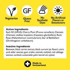 RESCUE tincture bottle with five flower essences illustrating calm potential.