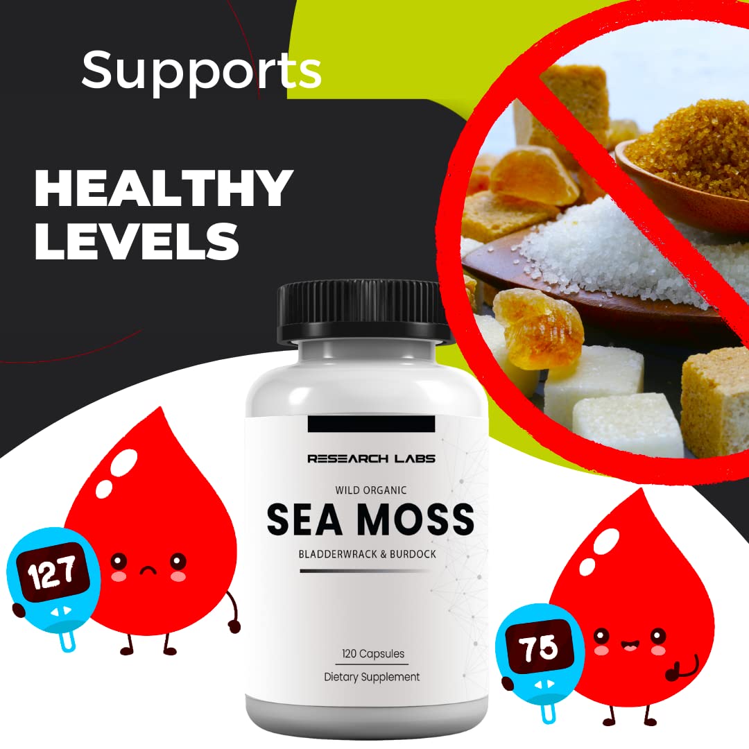 Research Labs bladderwrack powder – antioxidant-rich extract supporting skin resilience.