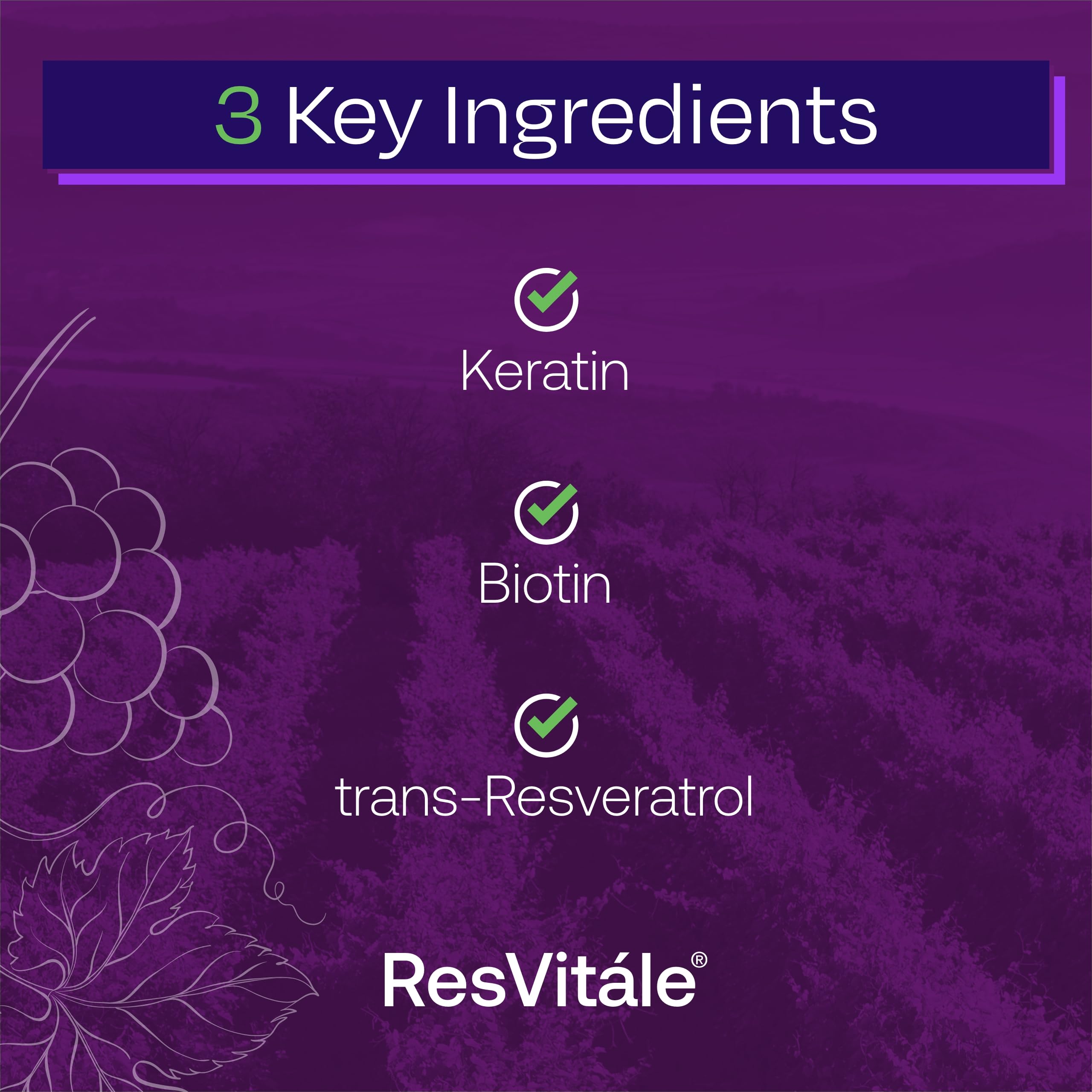 Close-up of hair strands with ResVitale keratin support