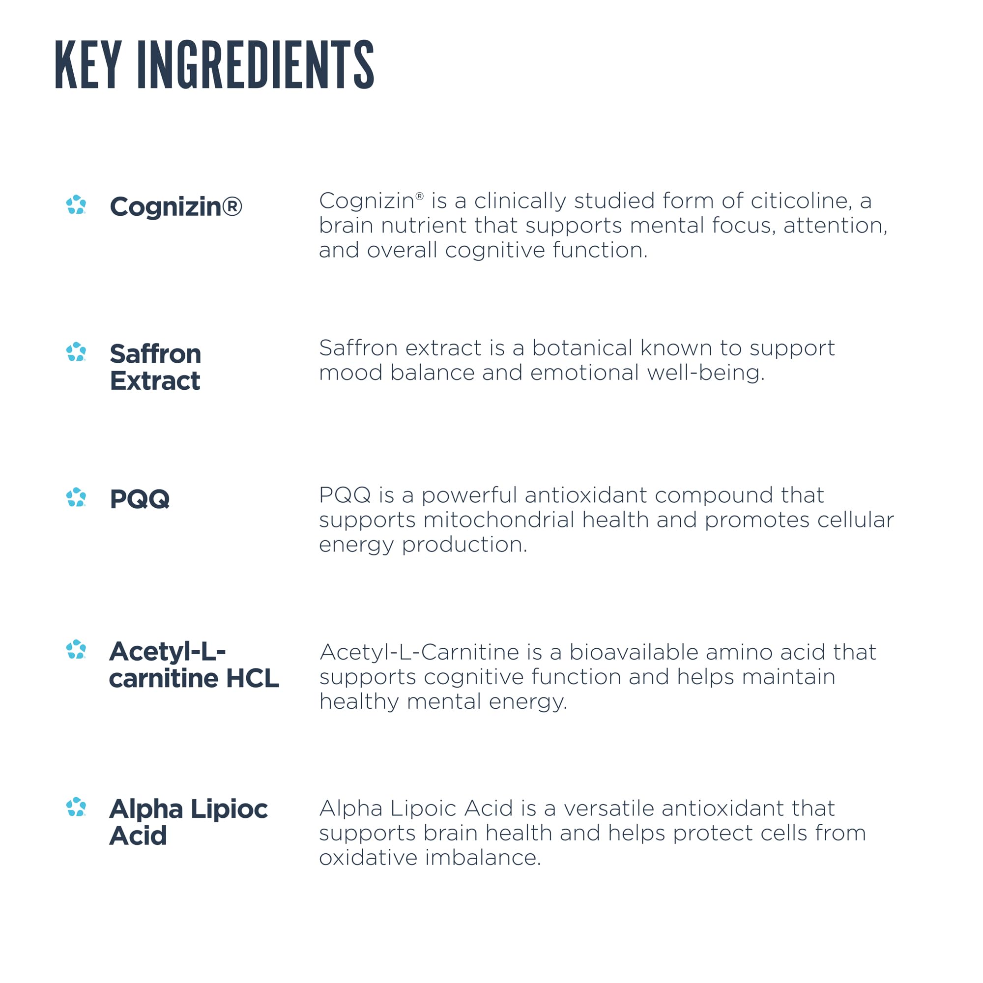 Revive MD Brain bottle label shows key ingredients and stimulant-free design for clarity.