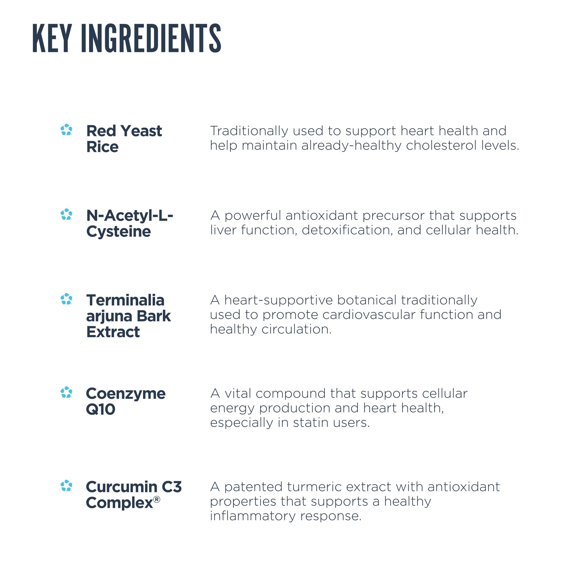 Complete Vital ingredient panel featuring CoQ10, NAC and curcumin