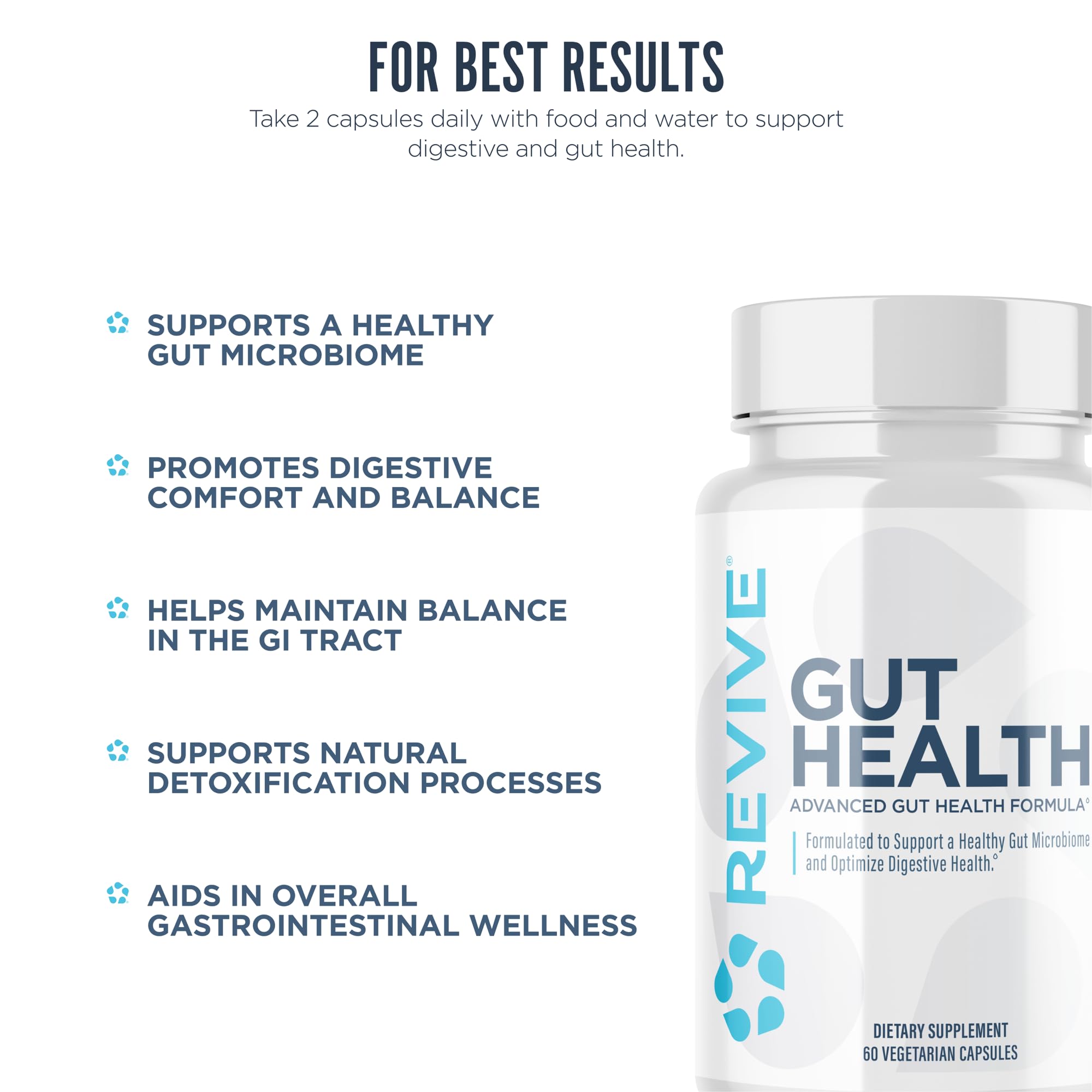 Illustration of the gut with herbal components for Revive MD Gut Health