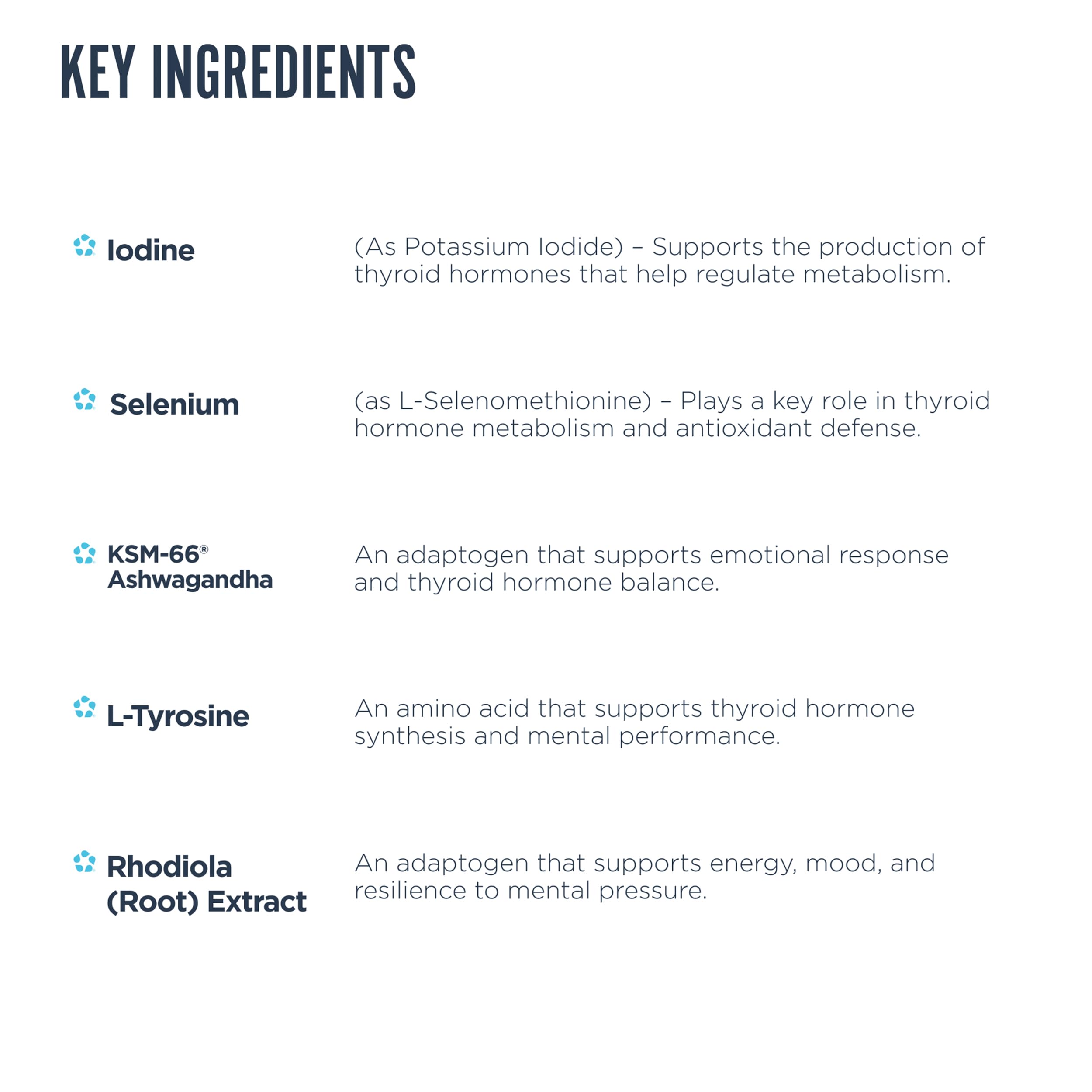 Revive MD Thyroid Support ingredients blend featuring iodine, zinc, and selenium for thyroid health.