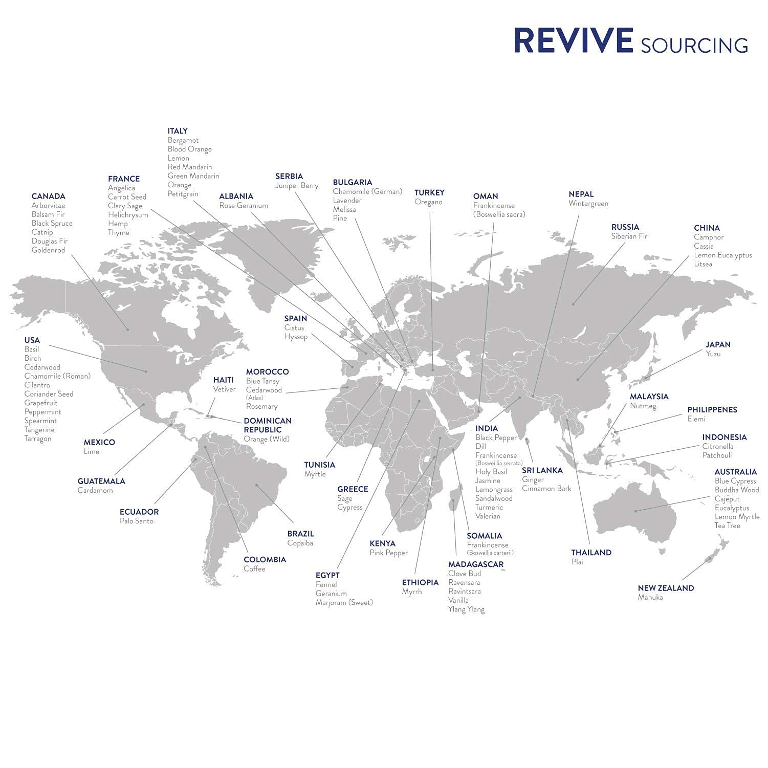 REVIVEEO Clavo, aceite para masaje, ayuda a relajar tensiones y perfumar