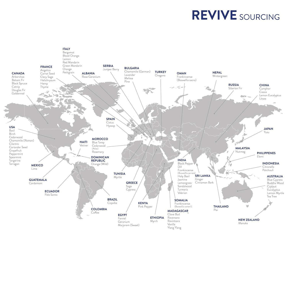 REVIVEEO Clavo, aceite para masaje, ayuda a relajar tensiones y perfumar