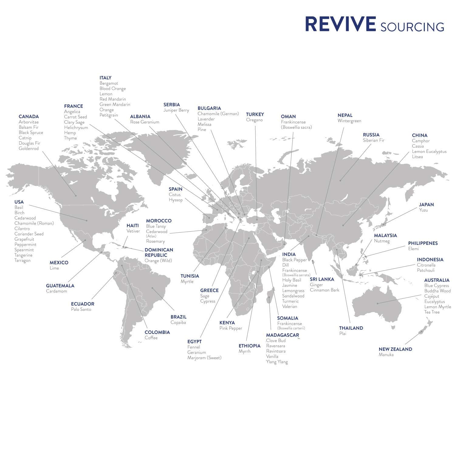 Reviveeo Key Lime glass bottle with drops highlighting versatile use