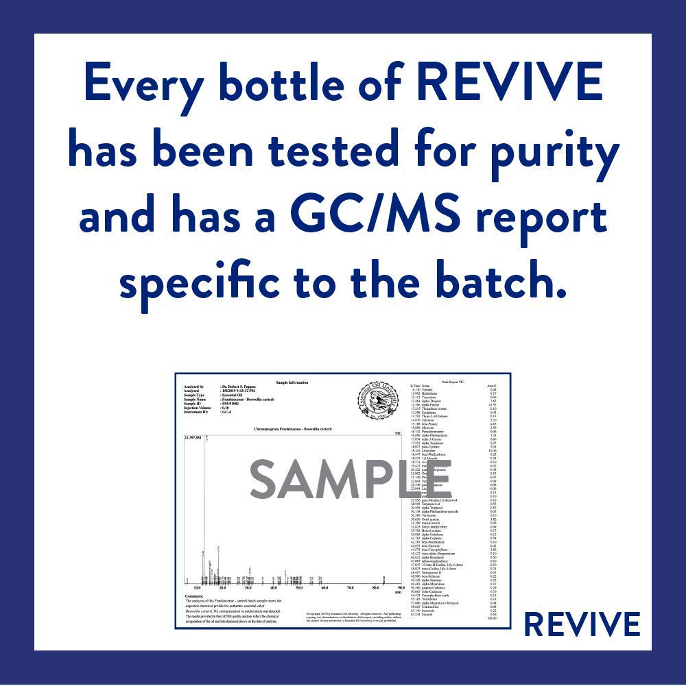 REVIVEEO Sleep oil in hand ready for gentle massage or skincare.