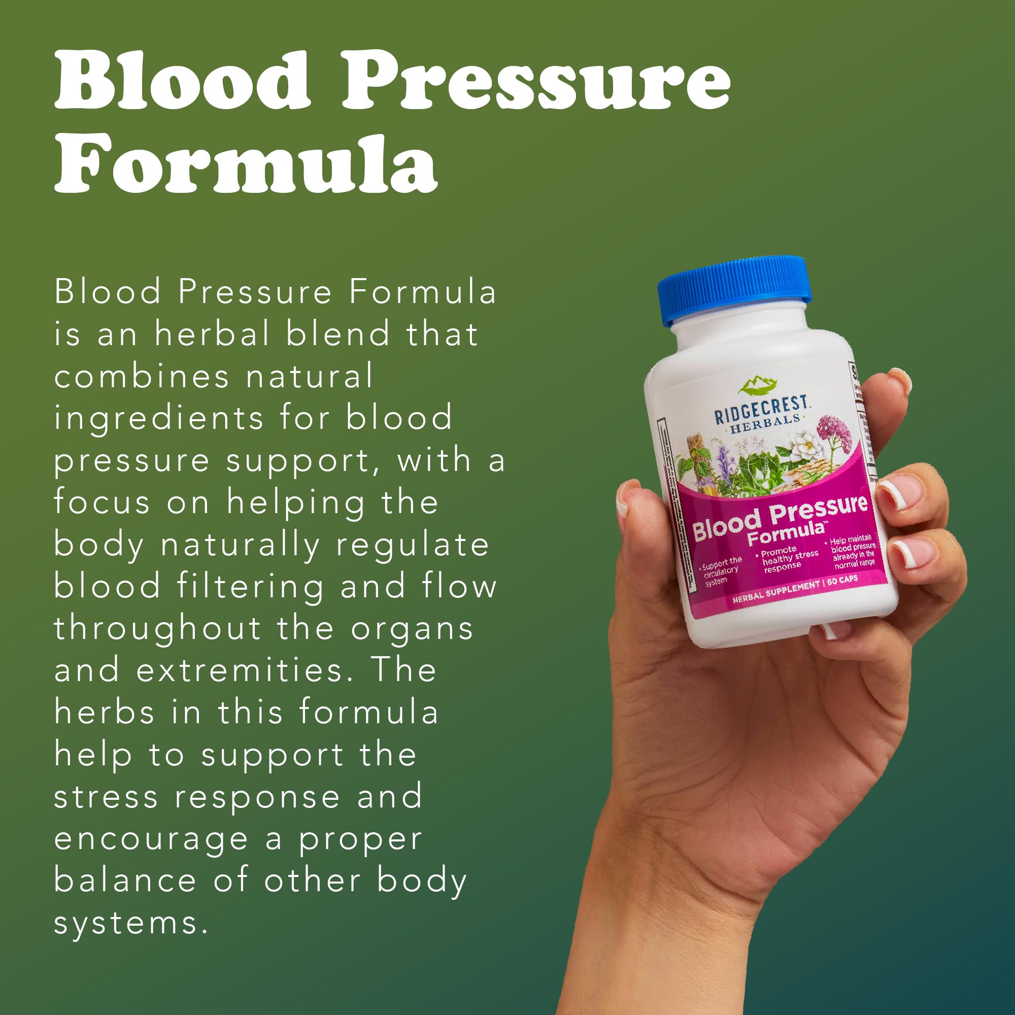 RidgeCrest Blood Pressure Formula label shows natural ingredients for circulation.