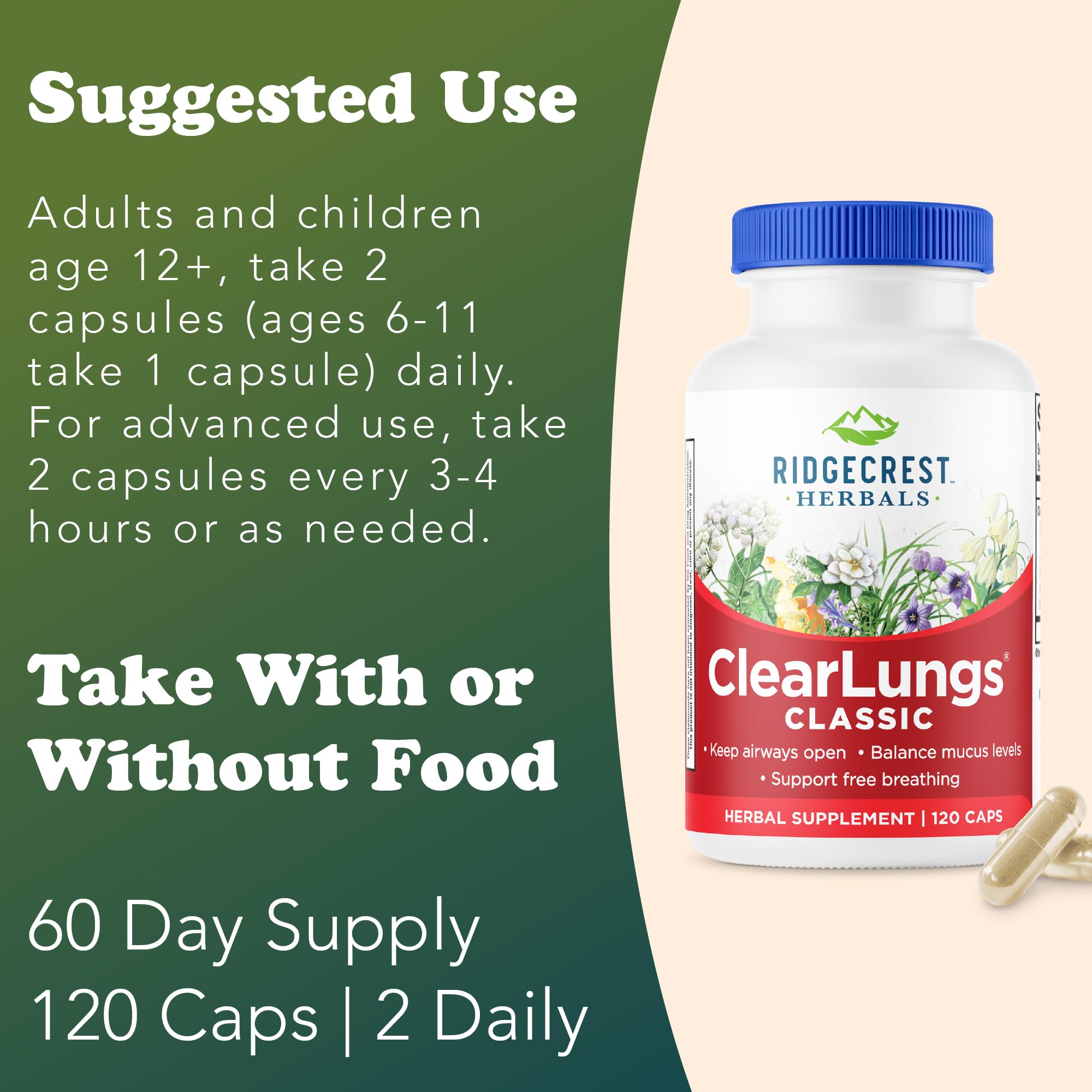 RidgeCrest ClearLungs ingredients close-up showing Gardenia Fruit and Platycodon