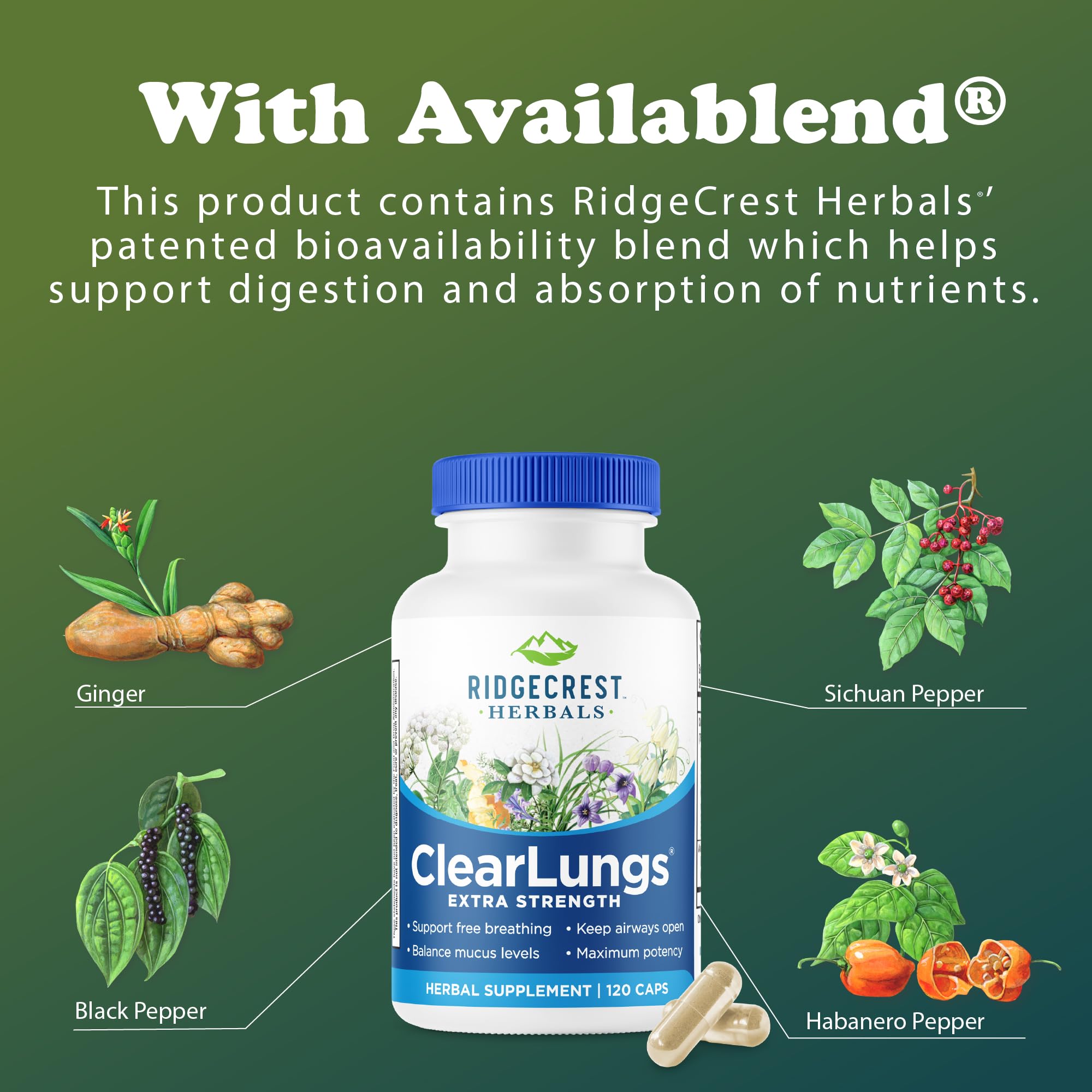 RidgeCrest ClearLungs Extra Strength in winter air scene