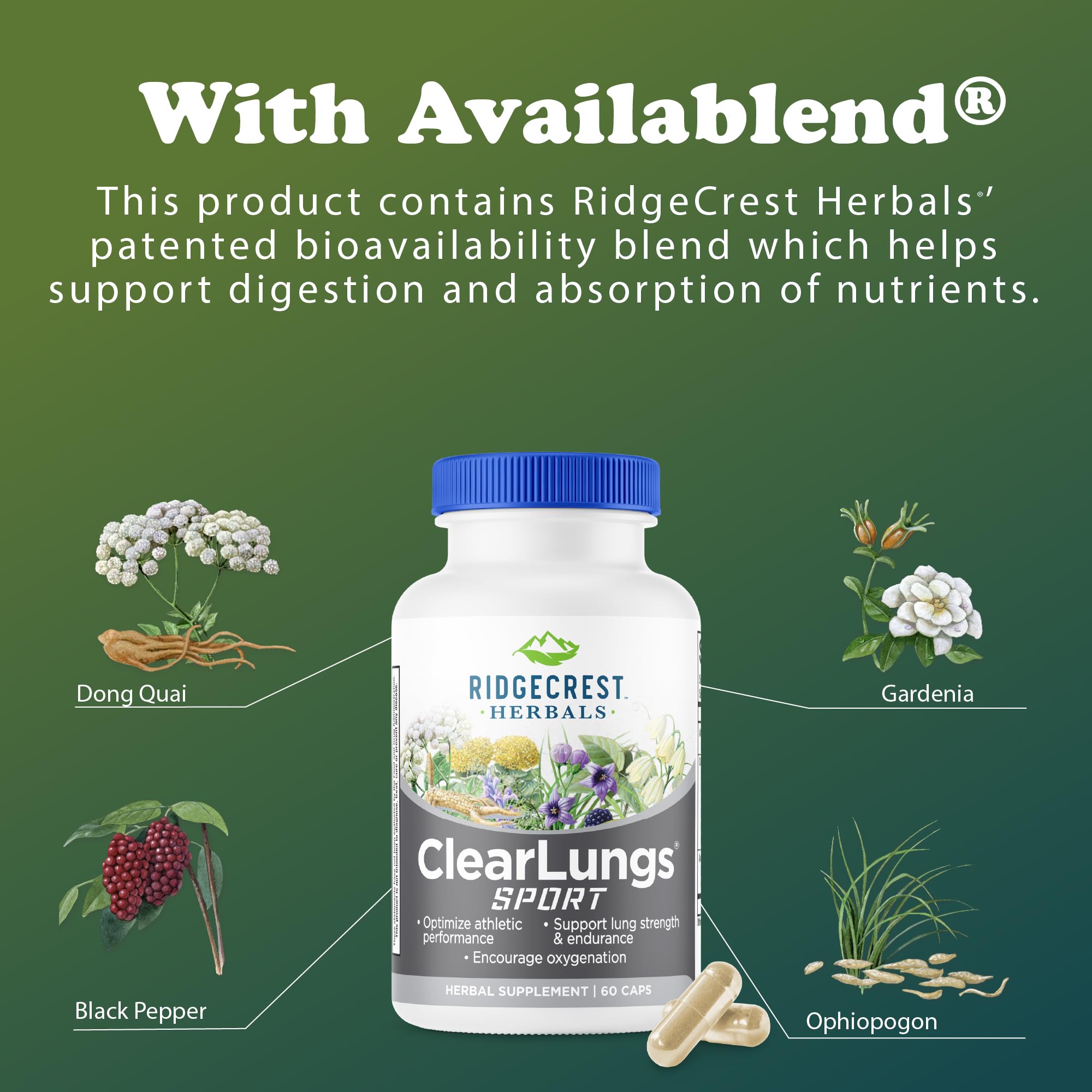 RidgeCrest ClearLungs Sport packaging box on shelf with easy-to-read details.