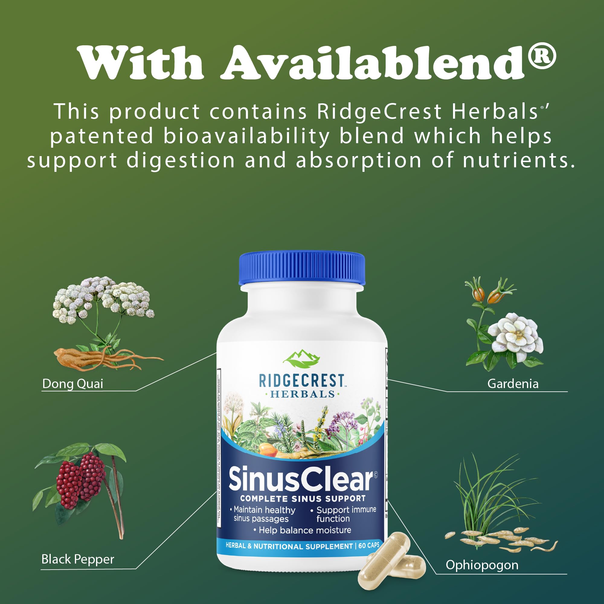 Serving information for RidgeCrest SinusClear illustrating daily dosage guidance