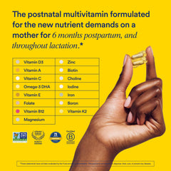 Ritual Essential postnatal nested capsule close-up illustrating smart barrier design for absorption