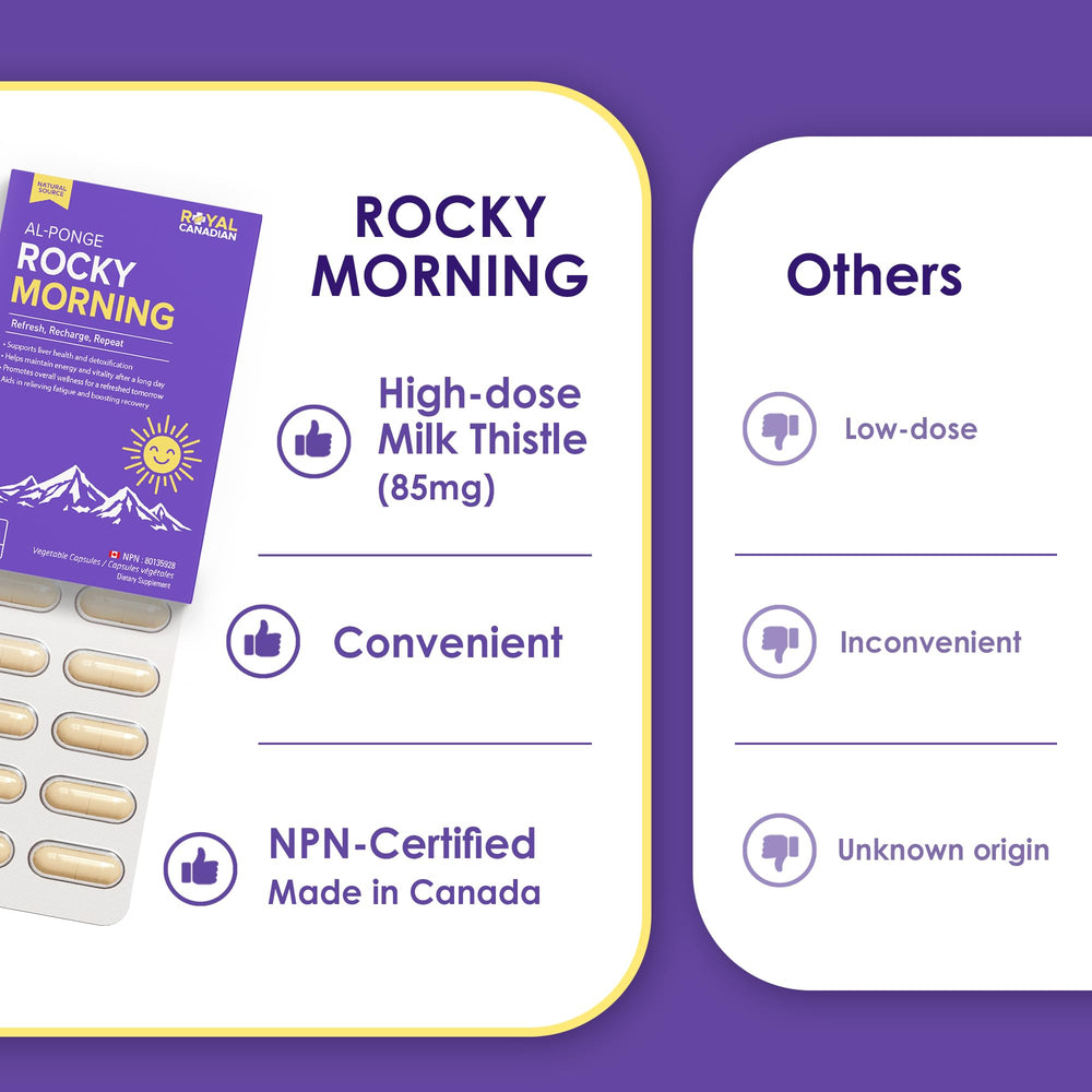 Rocky Morning festival night-out pack ready for celebrations and social events