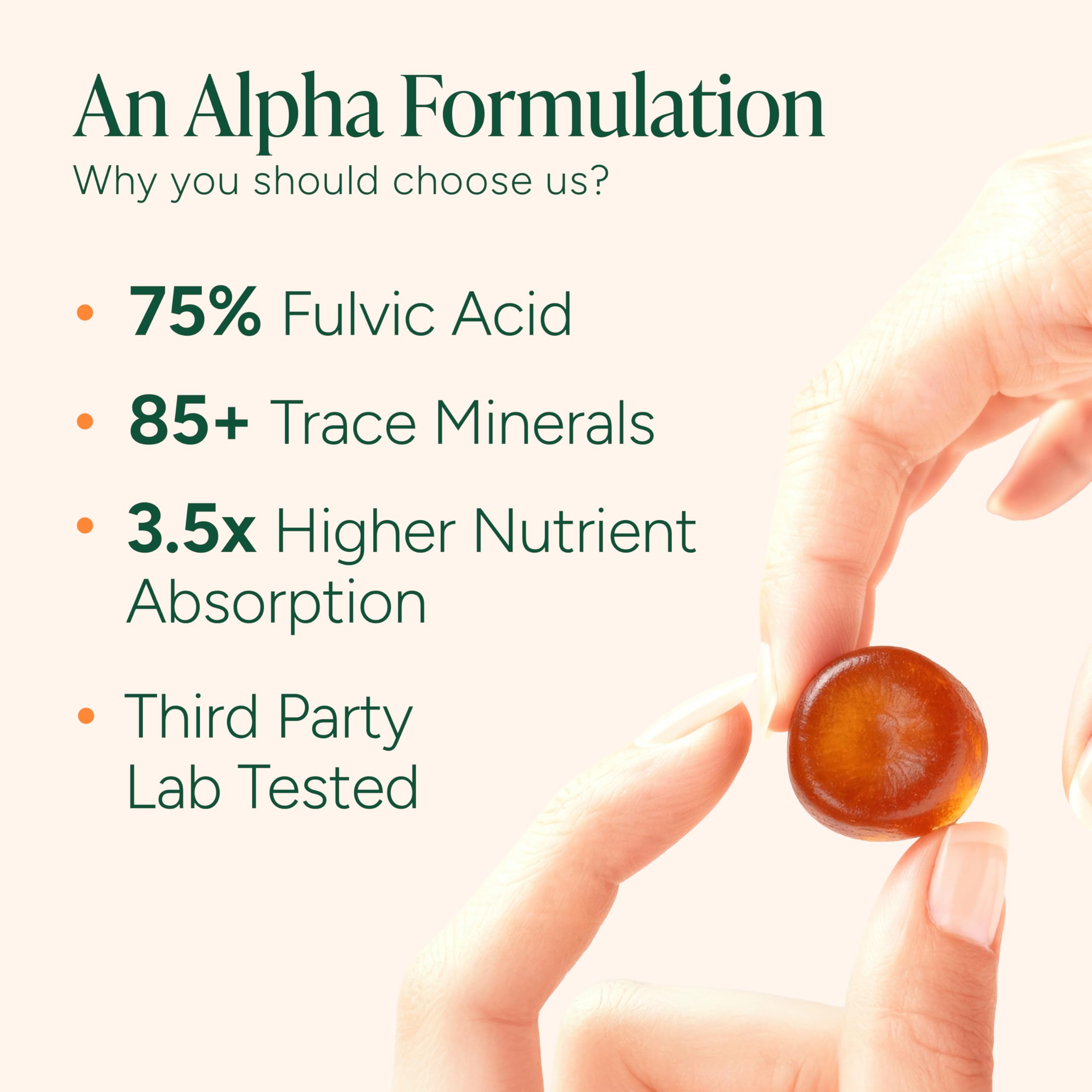 Root Labs Alpha Shilajit Gummies close-up chewy texture and tamarind flavor