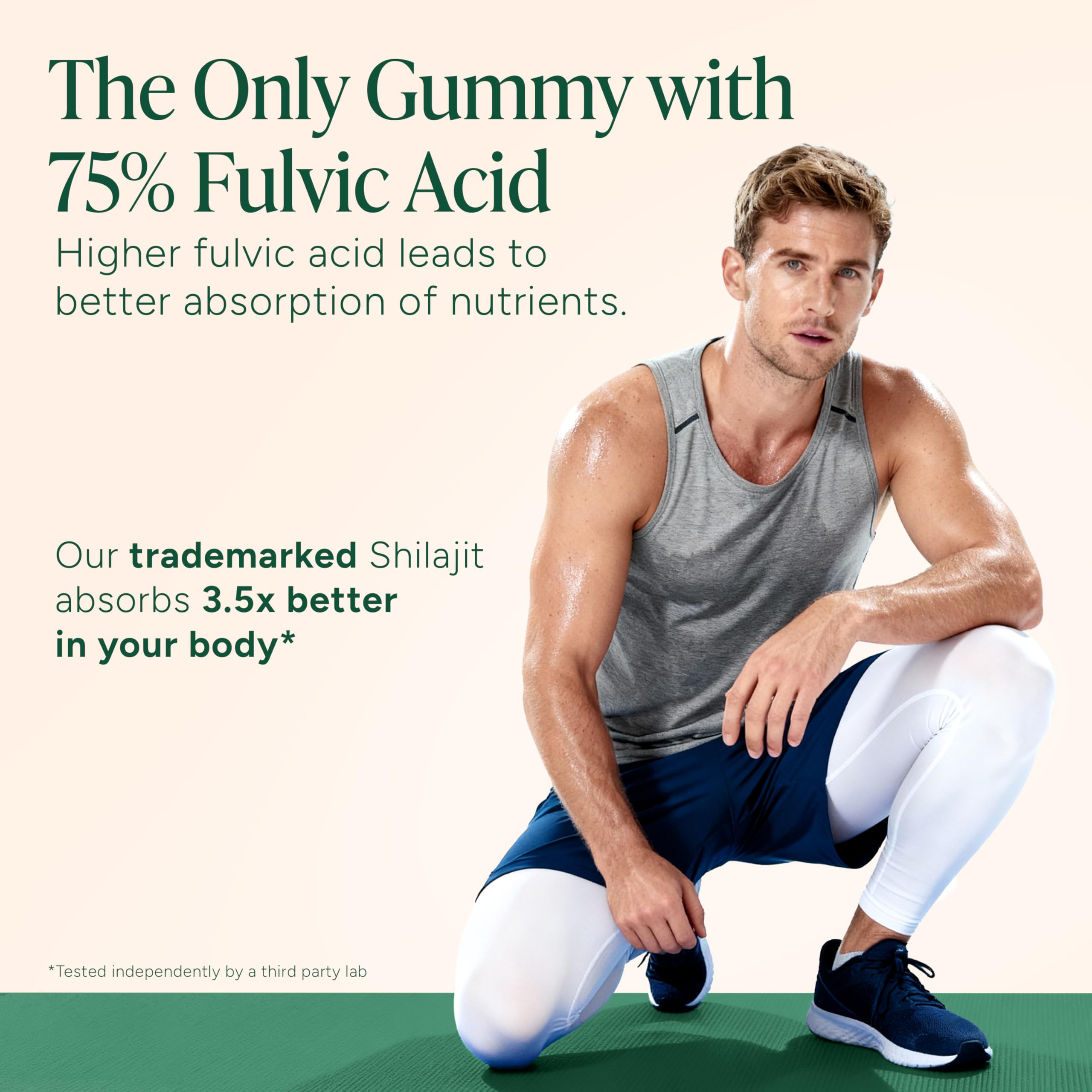 Root Labs Alpha Shilajit Gummies ingredients highlights with minerals and maca.