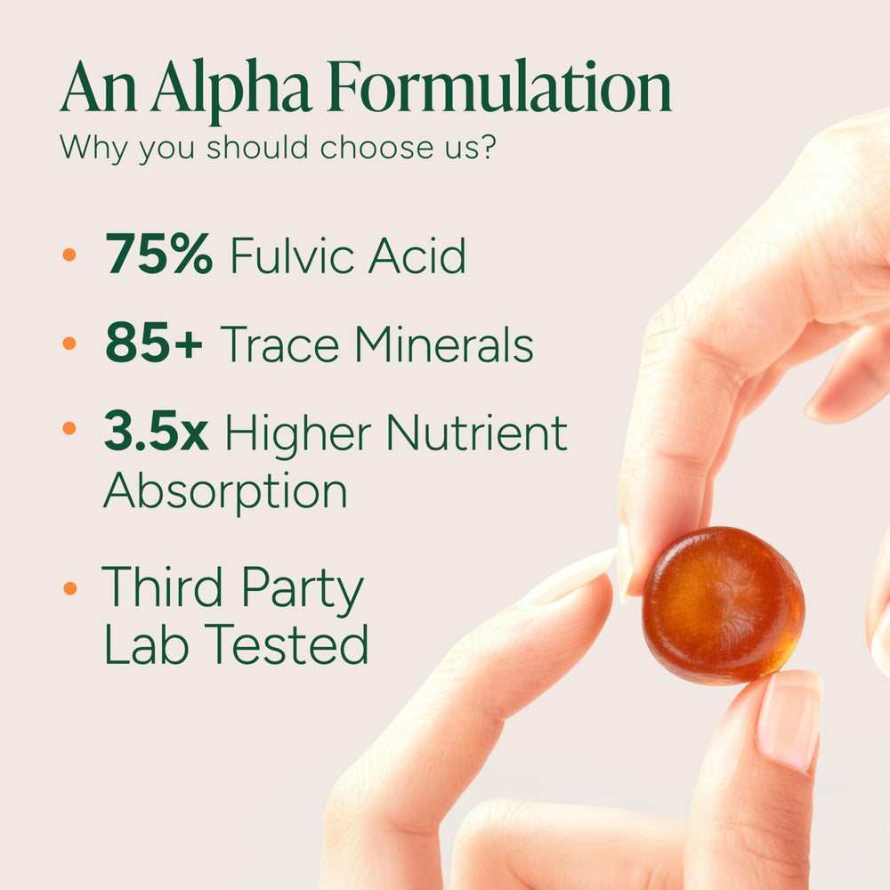 Close-up of the Roots Labs Alpha Shilajit Gummies label showing ShilAbsorb tech.