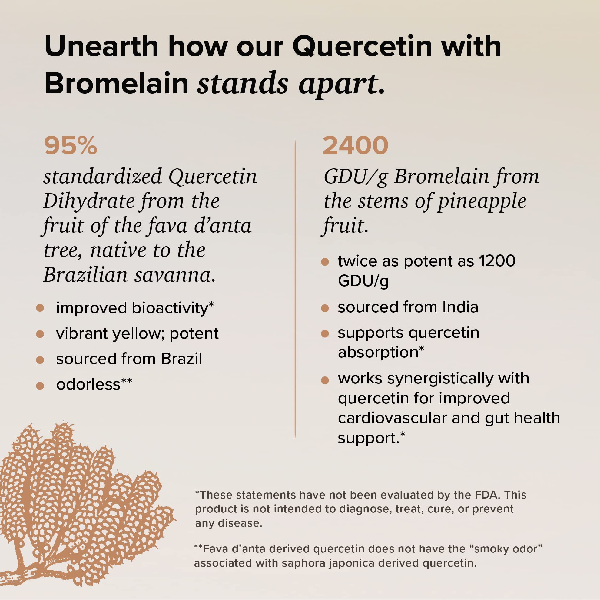 Rootcha Quercetin with Bromelain bottle side view shows capsules for daily immune support.