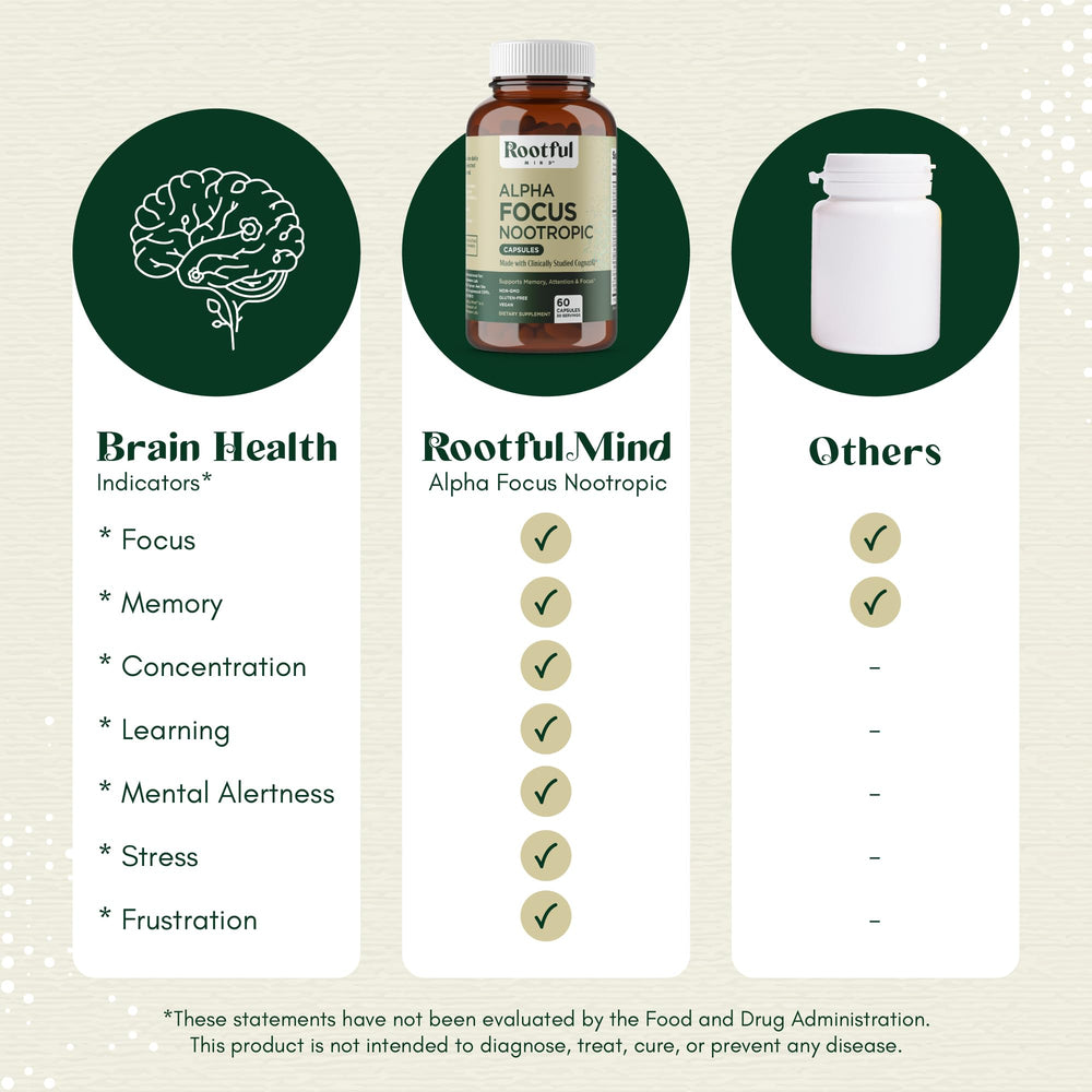 Brain health setup for study sessions with Rootful Mind Alpha Focus.
