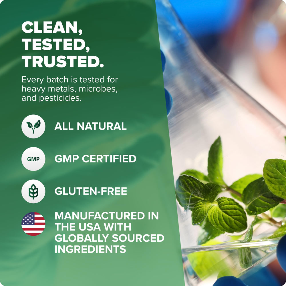 Pruebas de pureza de Rosabella Moringa en instalación GMP.