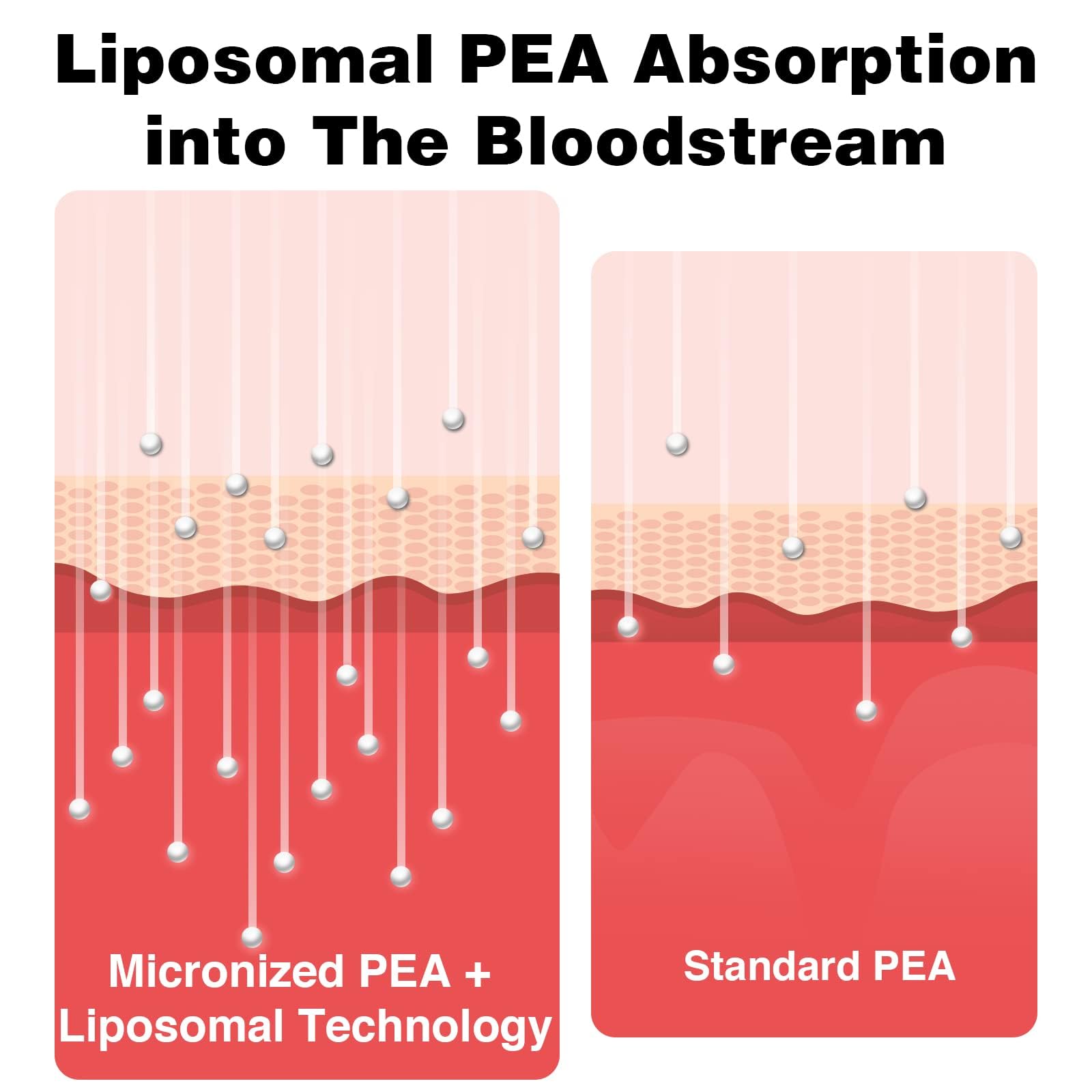 Rosmolo ingredient label closeup highlights PEA 1000 mg and luteolin 100 mg per serving.