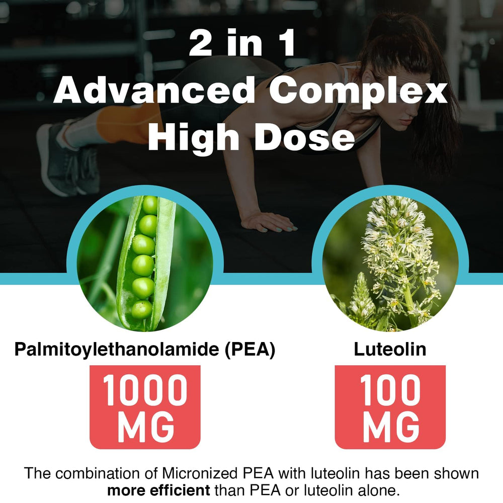 Rosmolo liposome illustration shows nanocarriers delivering PEA and luteolin effectively.