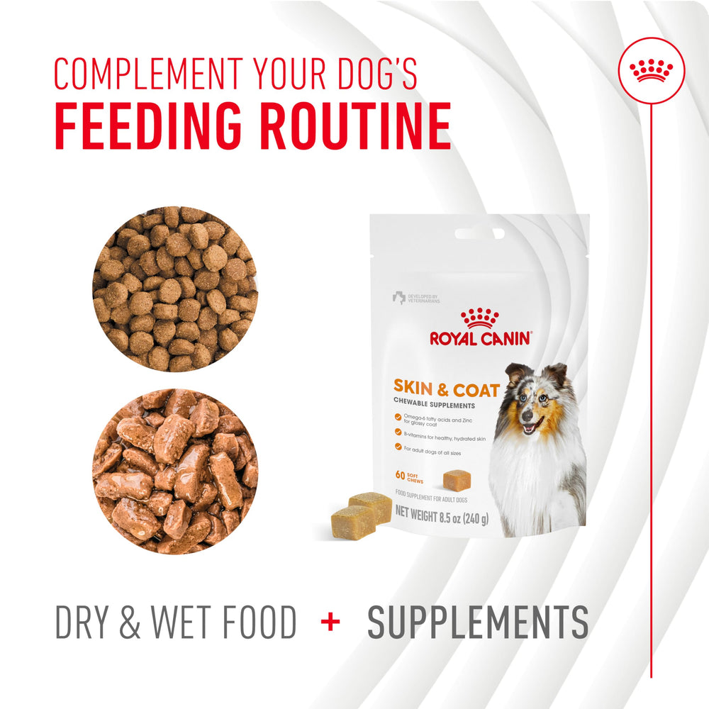 Suitable for adult dogs seeking balanced skin and coat care.