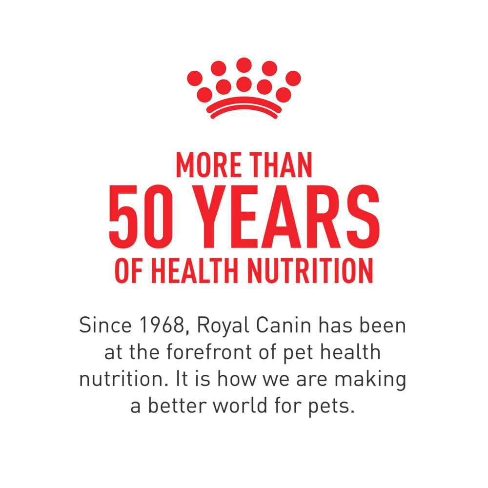 Daily Chews from Royal Canin fit easily into your dog's routine.
