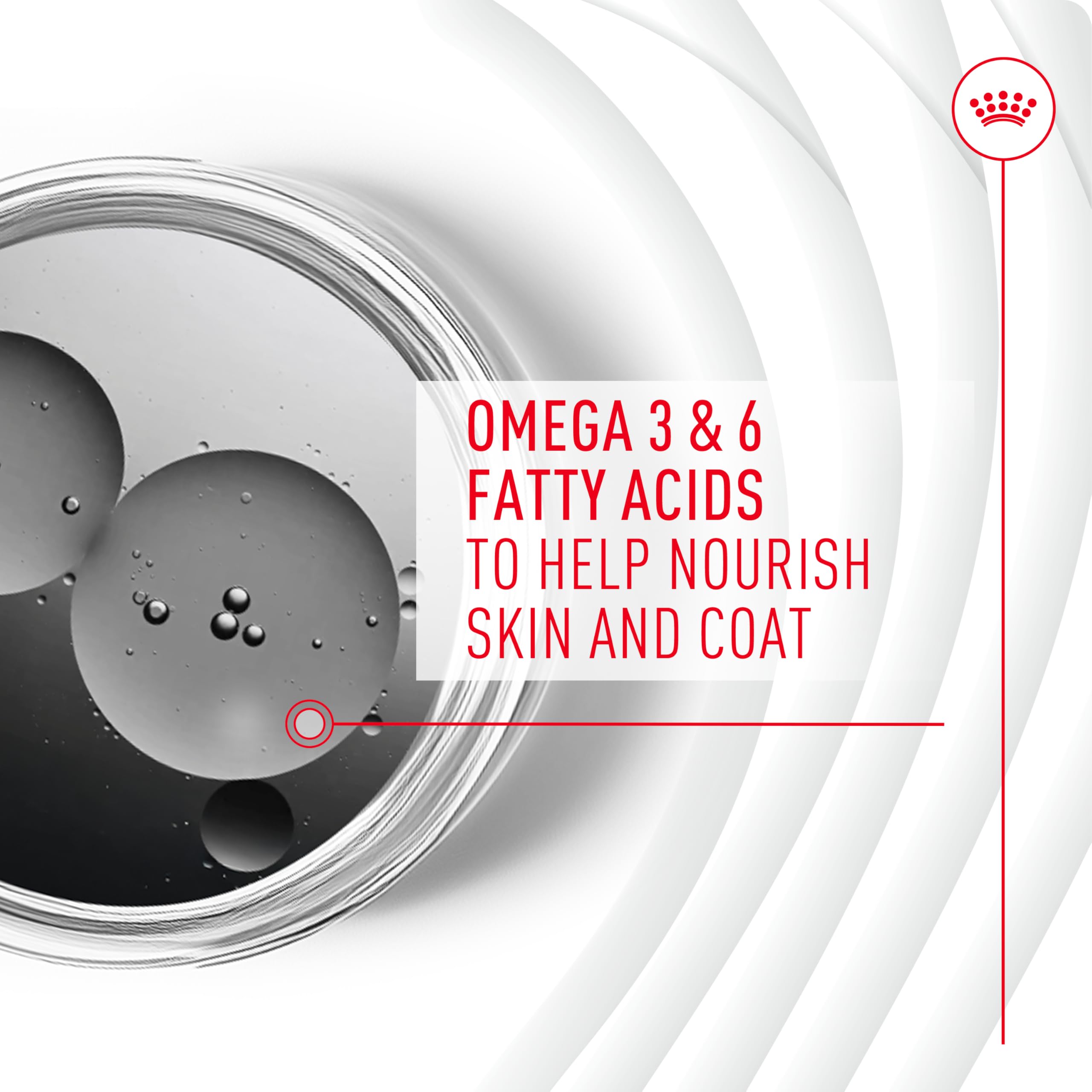 Royal Canin Skin & Coat chews designed as a complement to Royal Canin diets.