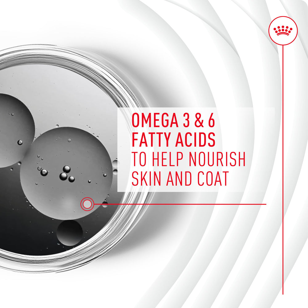 Royal Canin Skin & Coat chews designed as a complement to Royal Canin diets.