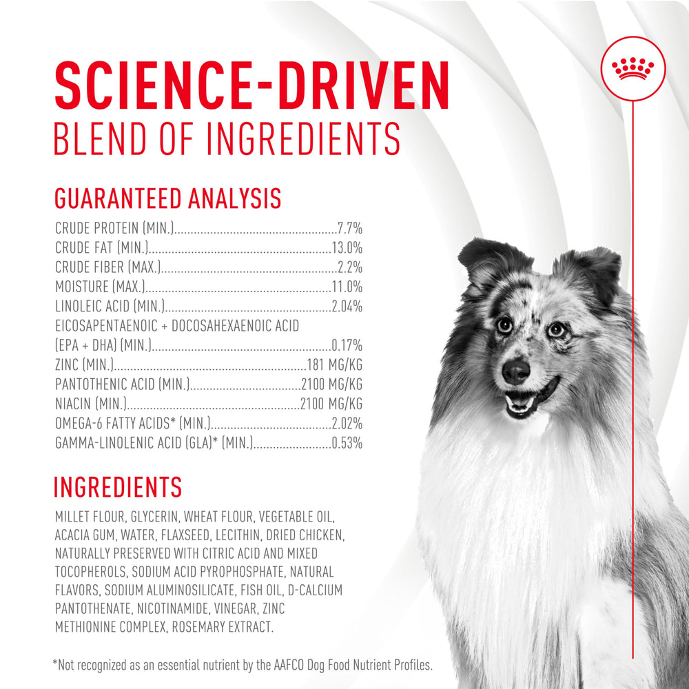 Vet-developed formulation helps support your dog's health from within.