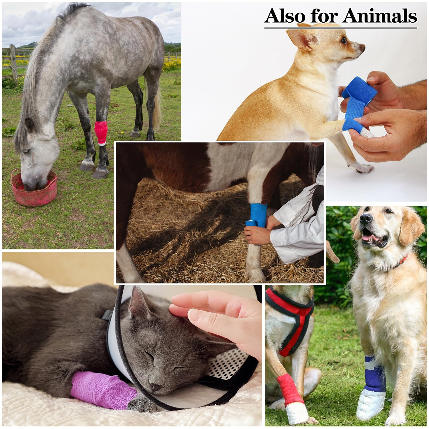 Ideal para animales: sujeción suave para perros y otras mascotas RUBY.Q.