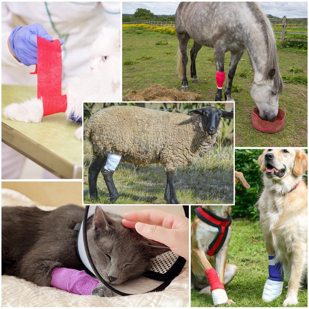 RUBY.Q self-adhesive wraps stay in place without skin sticking