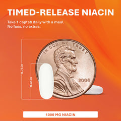 Rugby Laboratories niacin timed-release dispense image for daily supplementation
