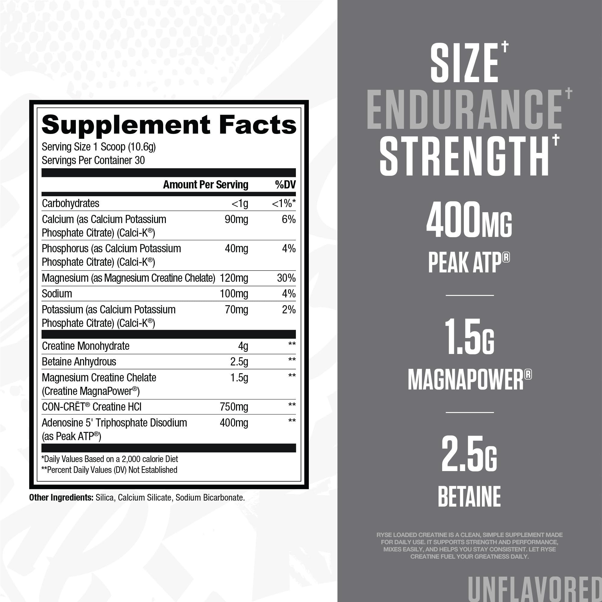 RYSE Loaded Creatine label front signals premium formula and quality