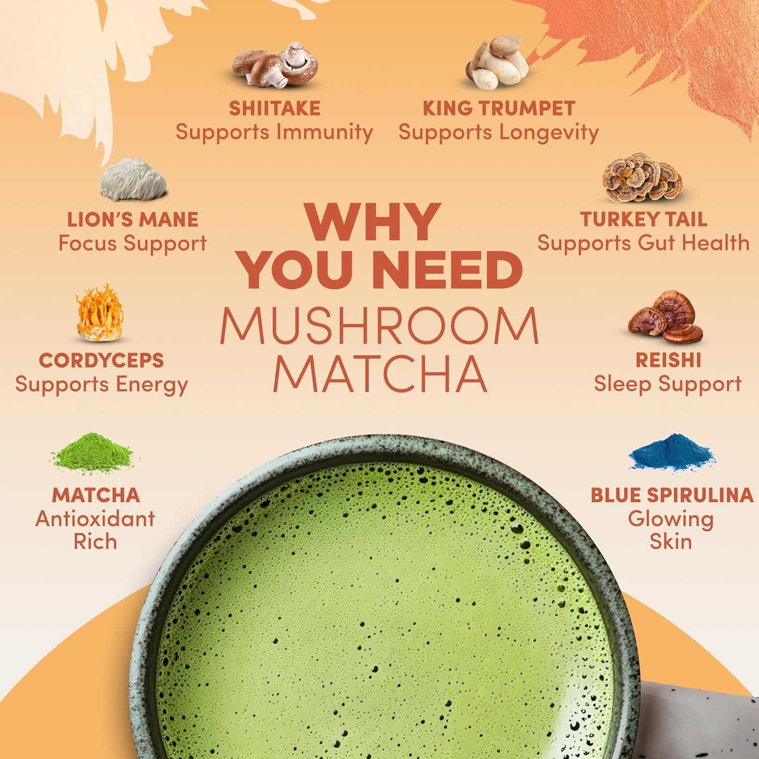 RYZE Superfoods six adaptogenic mushrooms graphic illustrating energy support.