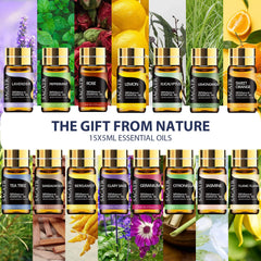 SACATR diffuser with lavender and peppermint oils for calming aromas