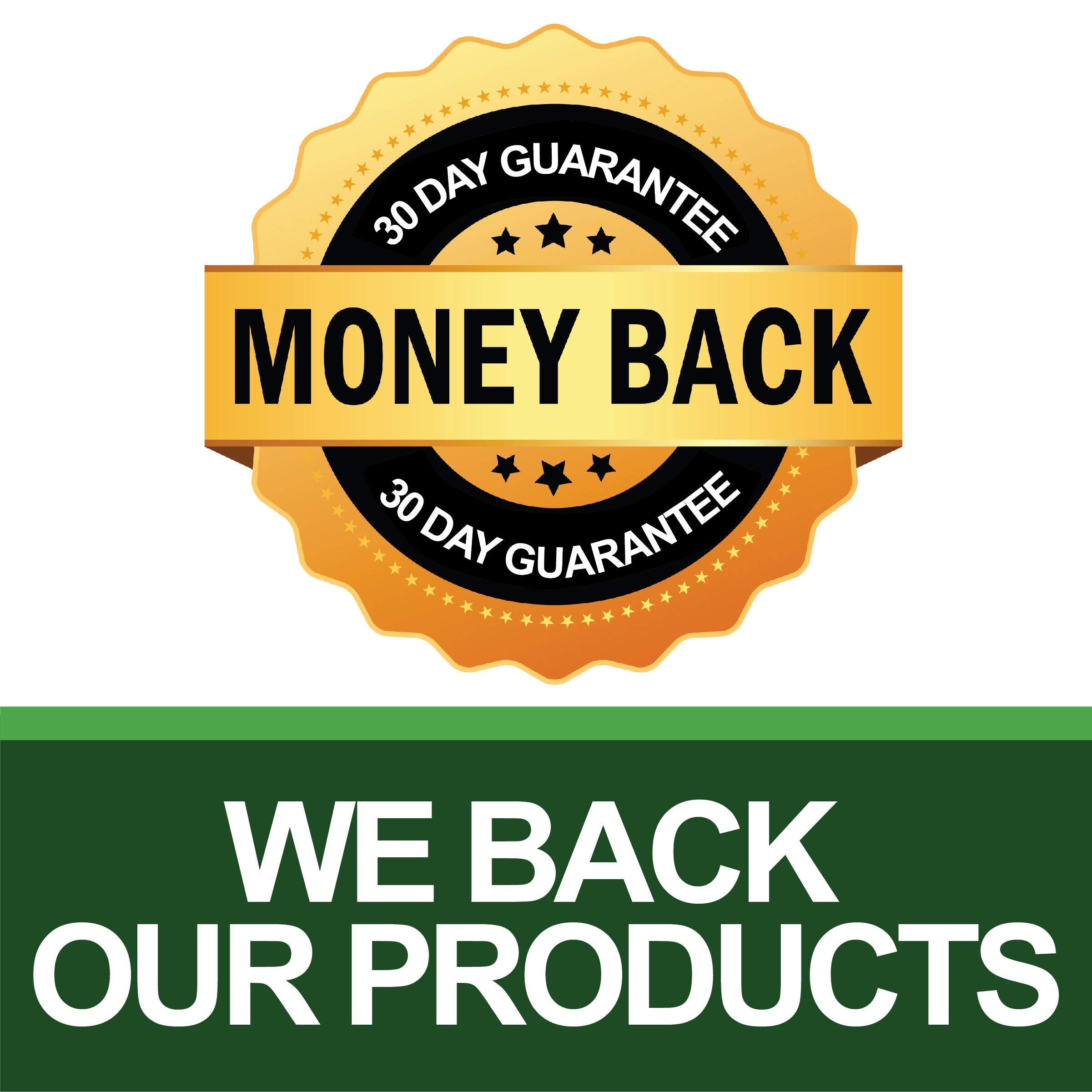 Saint Mingiano Lactobacillus capsule overview for gut balance