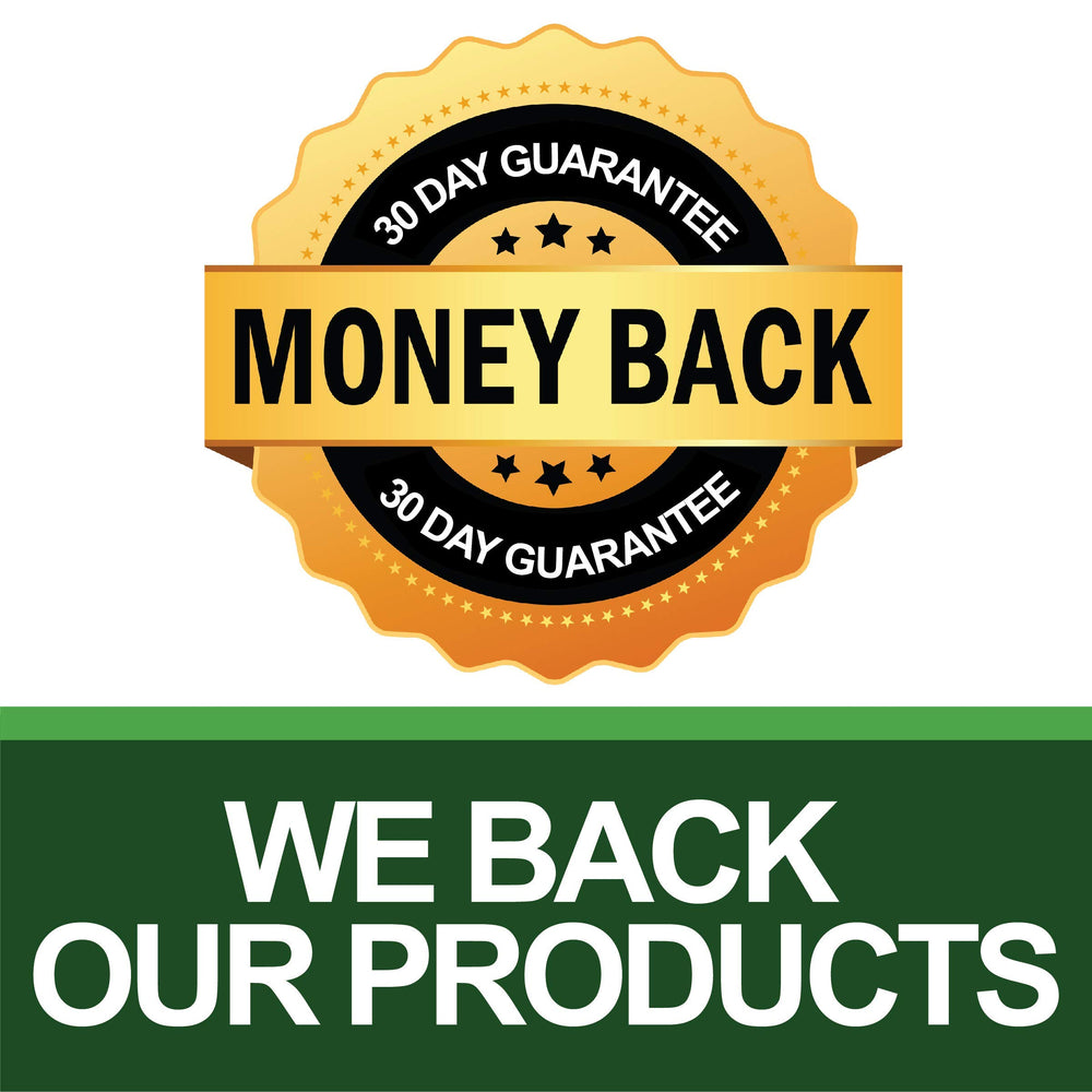 Saint Mingiano Lactobacillus capsule overview for gut balance